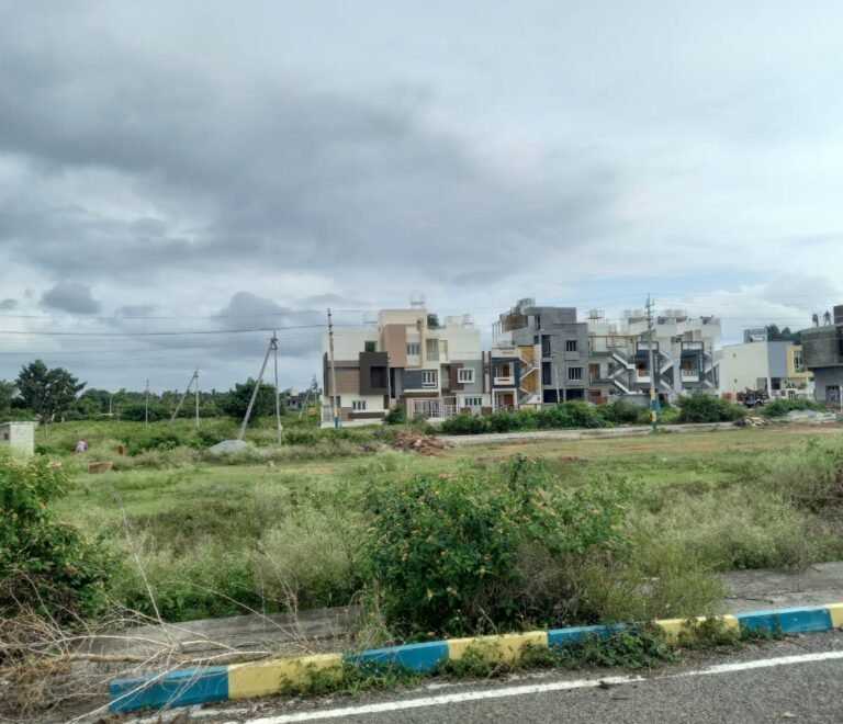 Basaveshwara Layout