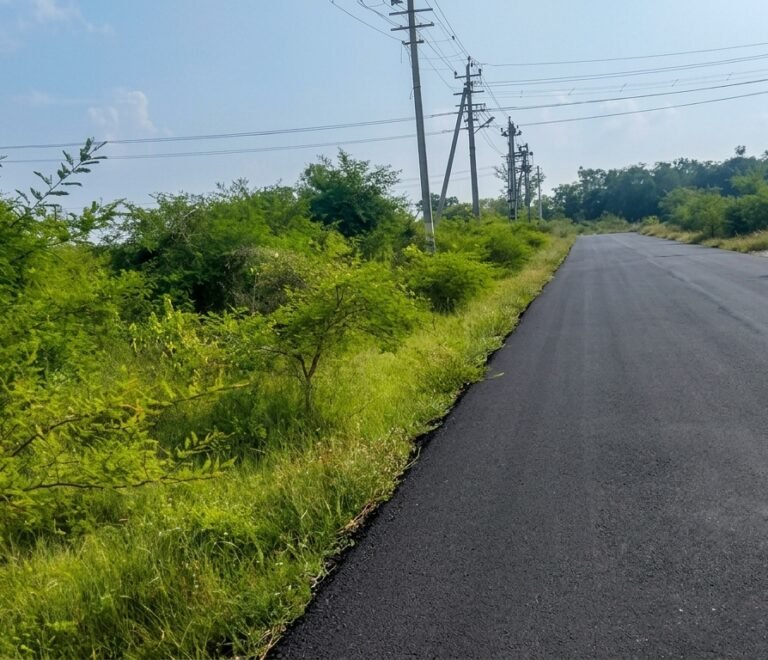 Suvarna Nagara