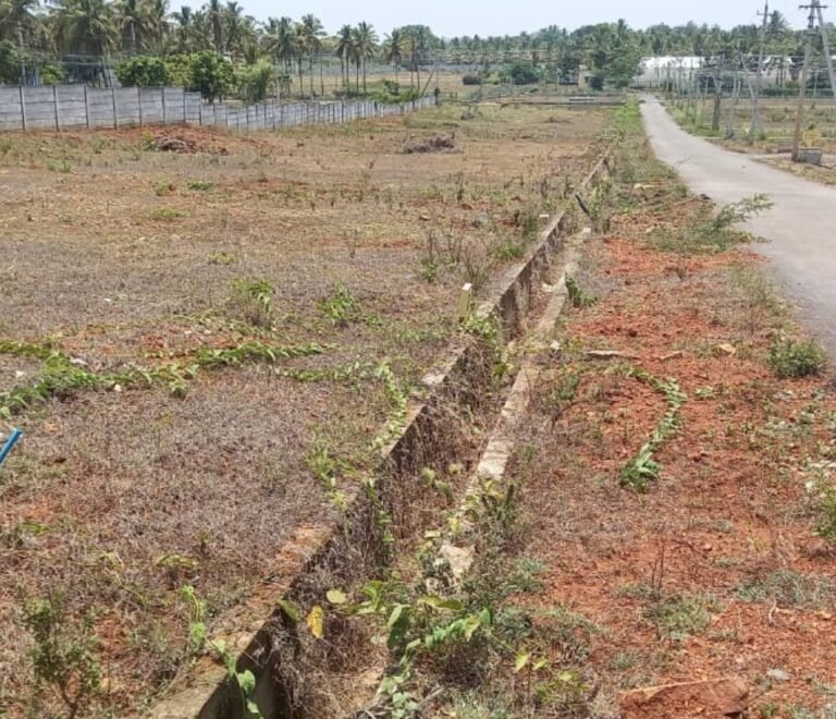 Indraprastha Layout